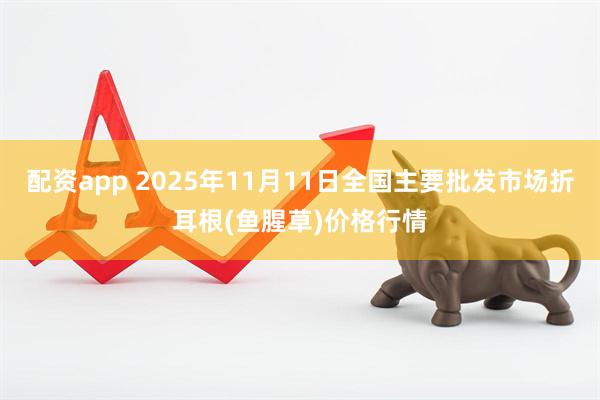 配资app 2025年11月11日全国主要批发市场折耳根(鱼腥草)价格行情